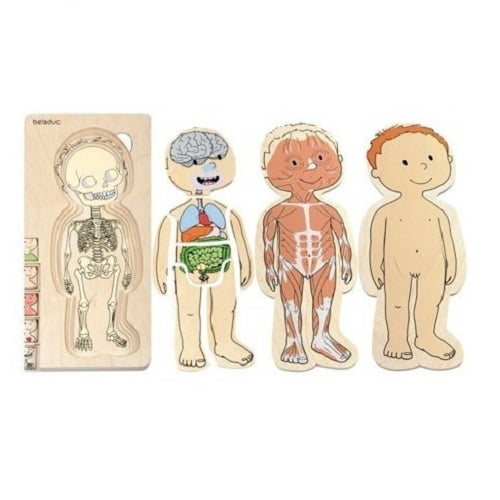 Seigard - Puzle De Capas Niño