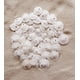 thumbnail image 5 of Vaso Sea Shell Home Sand Dollars, 50 unidades de menos de 2,54 cm, 5 of 7