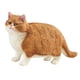 thumbnail image 1 of Figura De Gato Realista Figura De Gato De Simulación En Miniatura Para Regalos Patio Marrón, 1 of 3