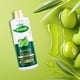 thumbnail image 3 of Prakritik Aceite Capilar Amla y Polvo Ayurvédica 250 ml, 3 of 3
