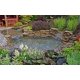 thumbnail image 3 of Compresor de aireación HALF OFF PONDS Patriot PA-RP60P, 3 of 4
