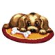 thumbnail image 1 of Kits De Gancho De Pestillo Con Herramienta Básica E Instrucciones Para Hacer Alfombras Para Perros, 1 of 5