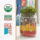 thumbnail image 2 of Kit de Terrario Back to the Roots Pequeño DIY, 2 of 8