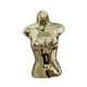 thumbnail image 5 of Maniquí Femenino Torso, Gancho Colgante De Moda Para Tienda, Venta Al Por Menor, Modista, Forma Dorada, 5 of 5
