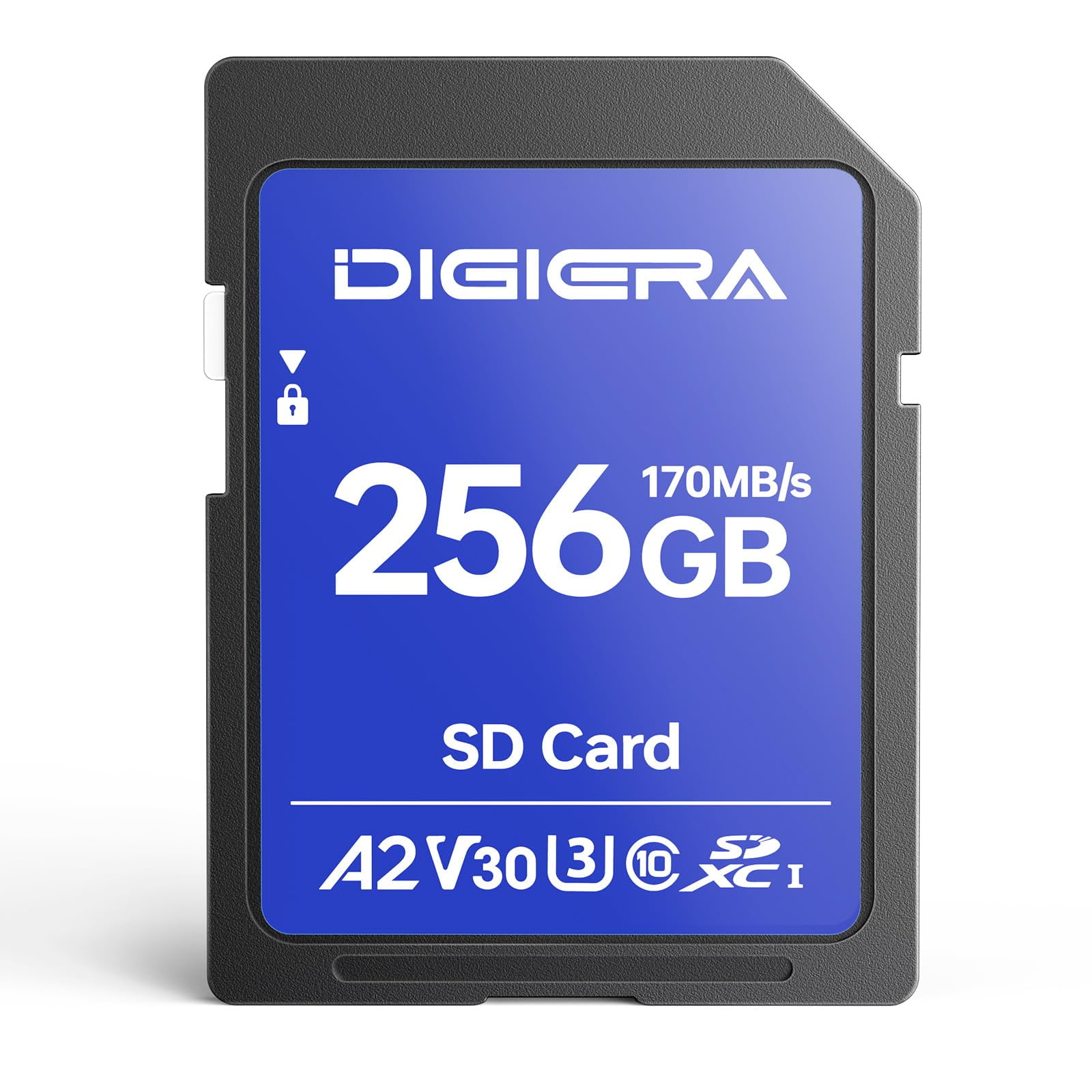 Tarjeta De Memoria Digiera Ls100 256 Gb Sdxc Uhs-i 170 Mb/s