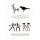 thumbnail image 5 of Símbolos De Lo Oculto, 5 of 7
