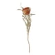 thumbnail image 2 of Adorno De Pastel De Flores Secas Bohemio, Accesorio De Ramo DIY Para El Hogar, Boda Al Aire Libre, 2 of 3