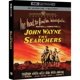 thumbnail image 1 of Blu-ray WARNER BROS The Searchers 4K UHD, 1 of 1
