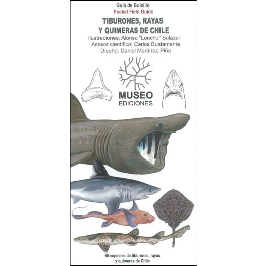 Gía Desplegable - Tiburones, Rayas Y Quimeras Del Sur De Chile