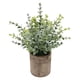 thumbnail image 1 of Planta Suculenta Artificial Falsa En Maceta Mini Plantas En Maceta Decoración De Jardín Para El Hogar Pequeño Eucalipto, 1 of 5