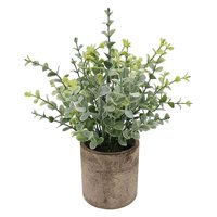 Bothyi - Planta Suculenta Artificial Falsa En Maceta Mini Plantas En Maceta Decoración De Jardín Para El Hogar Pequeño Eucalipto