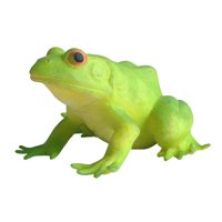 Magideal - Figurita De Rana De Simulación, Figuras De Acción De Animales, Juguete Sensorial Animado, Juguete De Rana Falsa Para Niños Y Niñas, Decoración De
