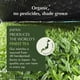 thumbnail image 4 of Matcha en polvo Encha Ceremonial, grado ceremonial, 500 g/1.1 libras, orgánico, 4 of 8