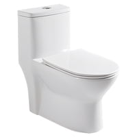 Wc One Piece Joytek Millenium 8018 Descarga A Piso 30 Cm