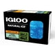 thumbnail image 1 of Paquetes de hielo Igloo MaxCold de gel reutilizables para refrigeradores y lonchera, 1 of 2