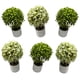 thumbnail image 1 of Plantas Artificiales Mini Bonsai Arbol Decoracion 6 unidades verde, 1 of 5