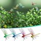 thumbnail image 4 of Clips libélula repelente insectos 12 pack realista 3D estacas jardín sombrero alejar insectos, 4 of 6