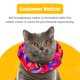 thumbnail image 5 of Cubierta para Collar de Gato Birdsbesafe – Aviso de Seguridad para Aves, 5 of 9