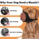 thumbnail image 3 of Muzzle Mayerzon Pitbull para American Bully Bulldog Boxers, 3 of 3