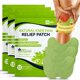 thumbnail image 1 of Parche FlexiKnee para Rodilla – 36 unidades – 12 horas – Herbal, 1 of 9