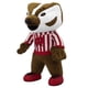 thumbnail image 3 of Figura de peluche Bleacher Creatures Wisconsin Badgers Bucky 10, 3 of 5
