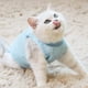thumbnail image 3 of Traje de recuperación profesional para gatos, ideal para heridas abdominales o enfermedades de la piel. Alternativa al collar isabelino para gatos y perros. Uso posoperatorio para evitar lamidos., 3 of 8