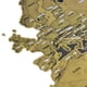 thumbnail image 1 of Mapa mundi raspable para viajeros, 1 of 3
