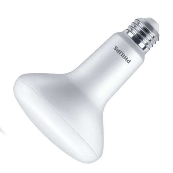 Bombilla PHILIPS BR30 E26 Daylight 15 W 120 V