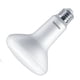 thumbnail image 1 of Bombilla PHILIPS BR30 E26 Daylight 15 W 120 V, 1 of 1