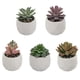 thumbnail image 3 of Planta suculenta artificial, 3 of 4