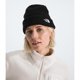 thumbnail image 3 of Gorro The North Face Salty Dog Forrado con DobleZ, 3 of 3