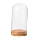 thumbnail image 4 of Cúpula De Cristal Con Forma De Campana, Vitrina Tipo Cúpula Para Oficina, Boda, Hogar, 9cm X 12cm, 4 of 5