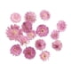thumbnail image 4 of 10x Hojas Secas De Flores Prensadas Y Secas Para Manualidades DIY, Marcapáginas, Fabricación De Tarjetas 02, 4 of 5