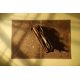 thumbnail image 4 of Tarjeta Pop‑Up 3D Tauro – Lovairo, 4 of 9
