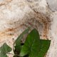 thumbnail image 5 of Alfombra Oak 060X240 C0187A, 5 of 6