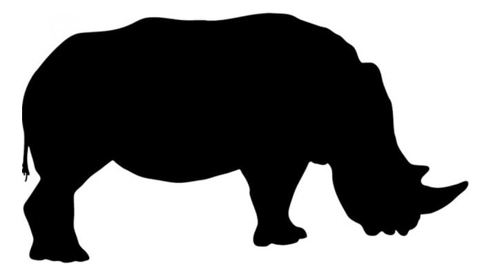 Rienda Libre Graphics - Decomural Rhino Safari Animals Ws-15815