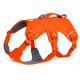 thumbnail image 1 of Ruffwear Web Master – Arnés para perro talla pequeña, naranja brillante, 1 of 9