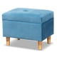 thumbnail image 1 of Otomana Baxton Studio Elias de terciopelo azul celeste, 1 of 9