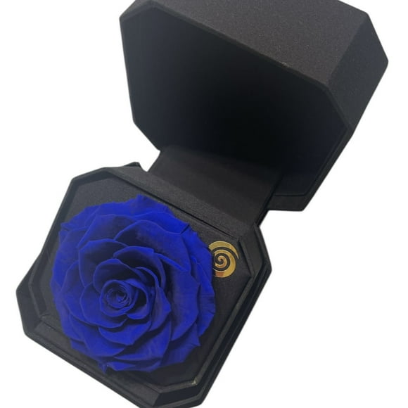 Gift Box 11 Con Rosa Preservada Natural Azul