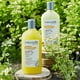 thumbnail image 2 of Set Naturaloe Shampoo + Acondicionador Reflejos Rubios 350ml, 2 of 5