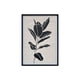 thumbnail image 1 of Cuadro: Sombra Botánica II, 1 of 1