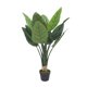 thumbnail image 1 of Planta Artificial Ave Paraíso 85 cm, 1 of 12