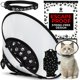 thumbnail image 1 of Kit de cono de recuperación para gatos Kedi Cats Solutions, negro, pequeño, 1 of 9