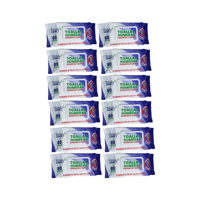 Pack 12 Toallitas Desinfectantes Teddy 960 Unidades