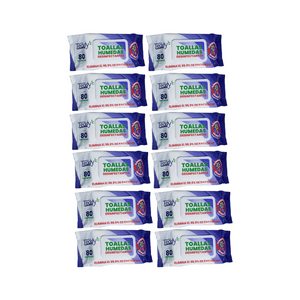 Pack 12 Toallitas Desinfectantes Teddy 960 Unidades