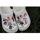 thumbnail image 2 of 17 colgantes de cocodrilo Swift de Taylor Singer, de PVC, para zapatos Swifties TS Merch, para zuecos, pulseras, regalos de fiesta, cloruro de polivinilo, sin piedras preciosas., 2 of 4