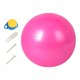 thumbnail image 3 of Pelota De Ejercicio Pilates Entrenamiento Mujer Hombre Inflador Incluido Soporte De Espalda Rosa 55cm, 3 of 5
