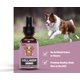 thumbnail image 4 of Colágeno Líquido Winnie & Lottie 30 ml Sabor Tocino, 4 of 7