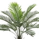 thumbnail image 3 of Planta Decorativa Palma Phoenix 90 Cms., 3 of 4