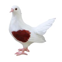 Ioensy - Escultura De Estatua De Paloma De Jardín Estatua De Arte De Patio Para Decoración De Patio De Gabinete